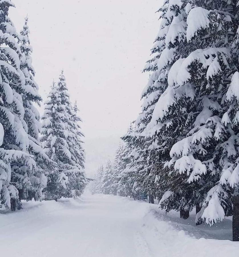 Hasi Hotel Jermuk Luaran gambar