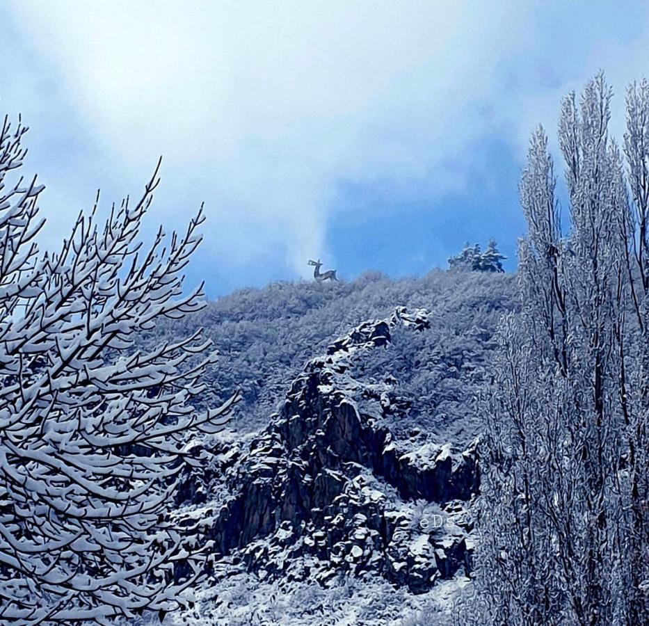 Hasi Hotel Jermuk Luaran gambar